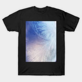 Frost 1 T-Shirt